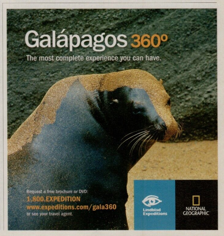 2012 Lindblad Expedition Galapagos Sea Lion Experience Vacation Vintage Print Ad