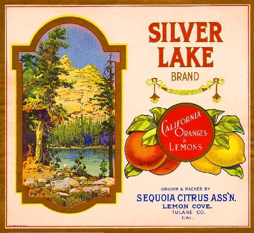 Lemon Cove Tulare Silver Lake Yosemite Orange Citrus Fruit Crate Label Art Print