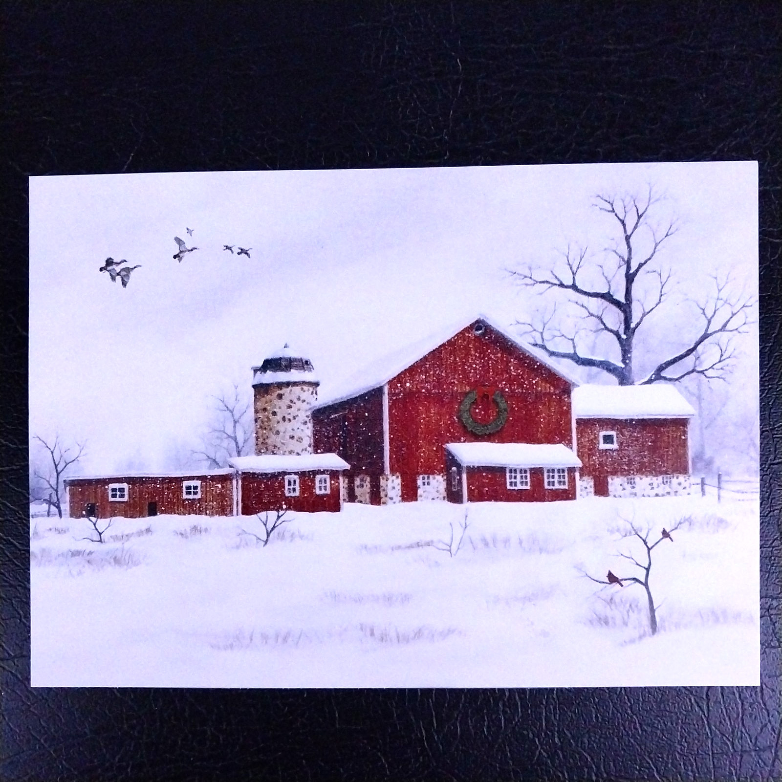 National Geographic Christmas Card Sample Advertisement – Winter Barn N484