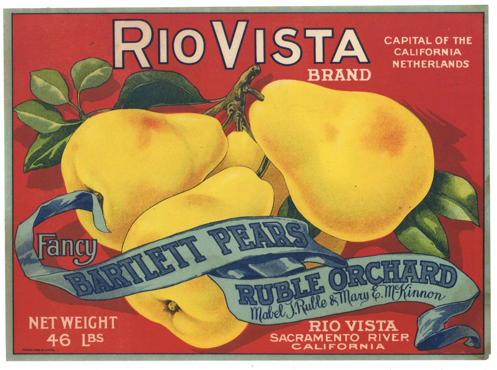 RIO VISTA, Sacramento Delta Pear, *AN ORIGINAL 1910s FRUIT CRATE LABEL* 085