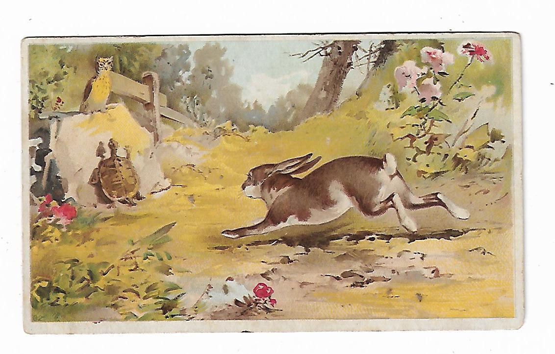 Old Trade Card Julius & March York PA Huntington Pianos Shelton CT Hare Tortoise