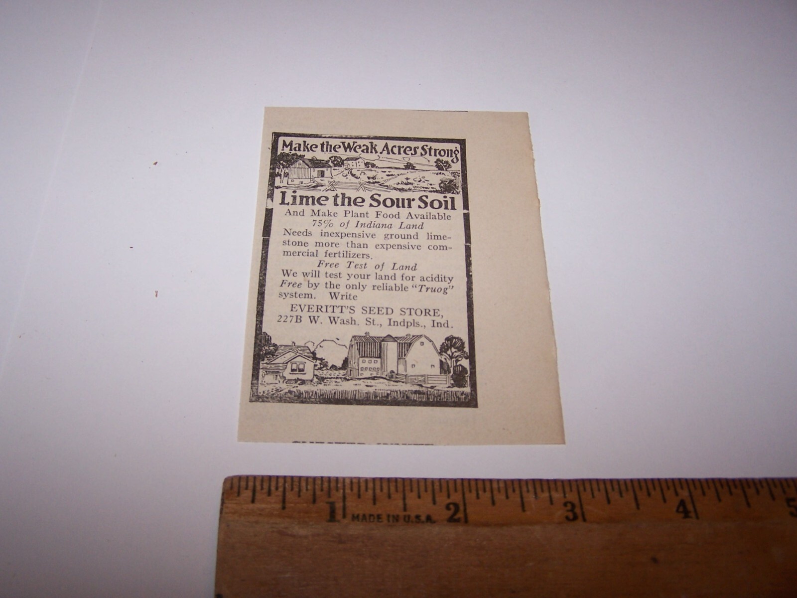 1916 EVERITT’S SEED STORE Paper Ad INDIANAPOLIS INDIANA