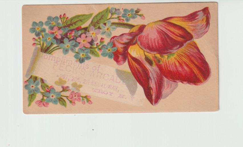 Trade Card~Peck’s Arcade~Troy NY~1890