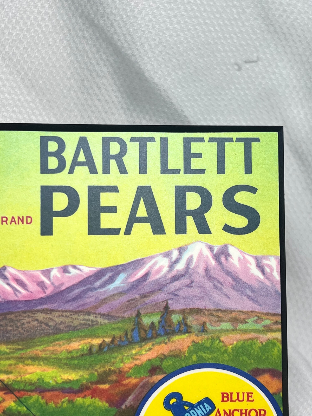 Reproductions Of 2 Vtg Pear Fruit Labels On Top Of Boxed Wood Frame Wall Hanging