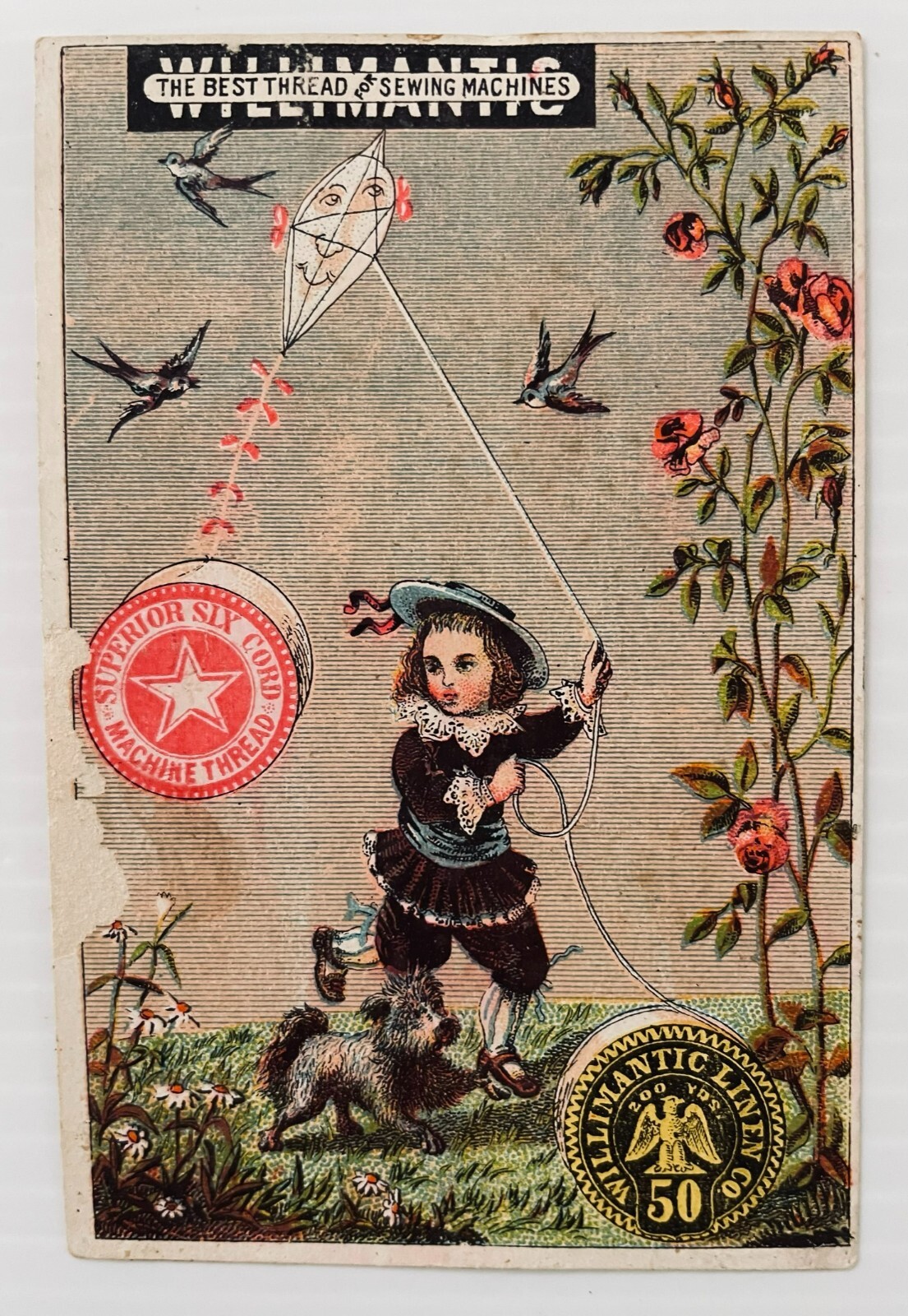 ANTIQUE DATED 1878 WILLIMANTIC THREAD TRADE CARD BOY & DOG w/KITE AWARD WINNING!