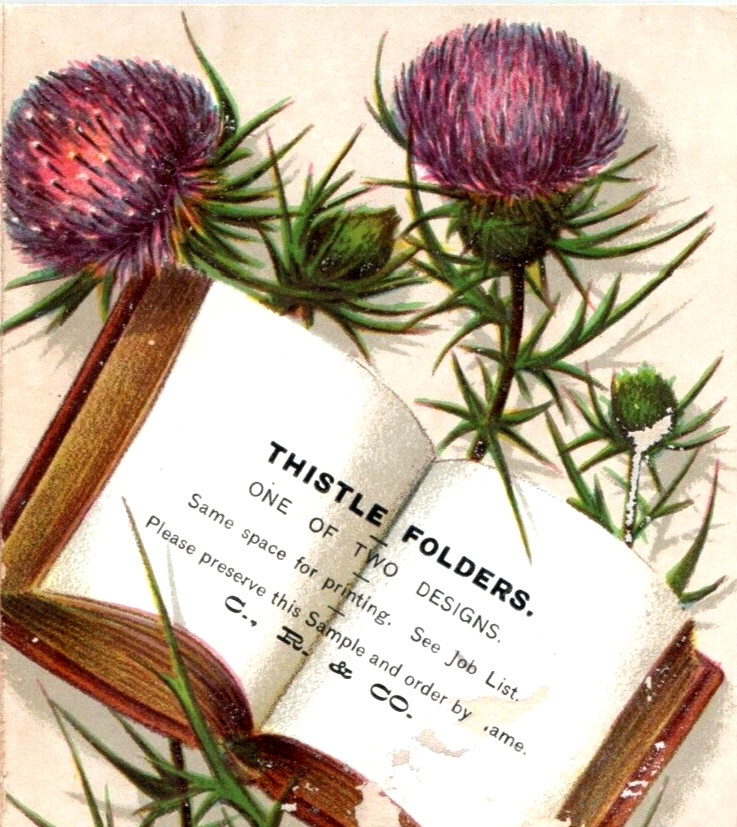 1880s Carter, Rice & Co. Printer Thistle Folders Sample Lot Of 2 Fab! 3R