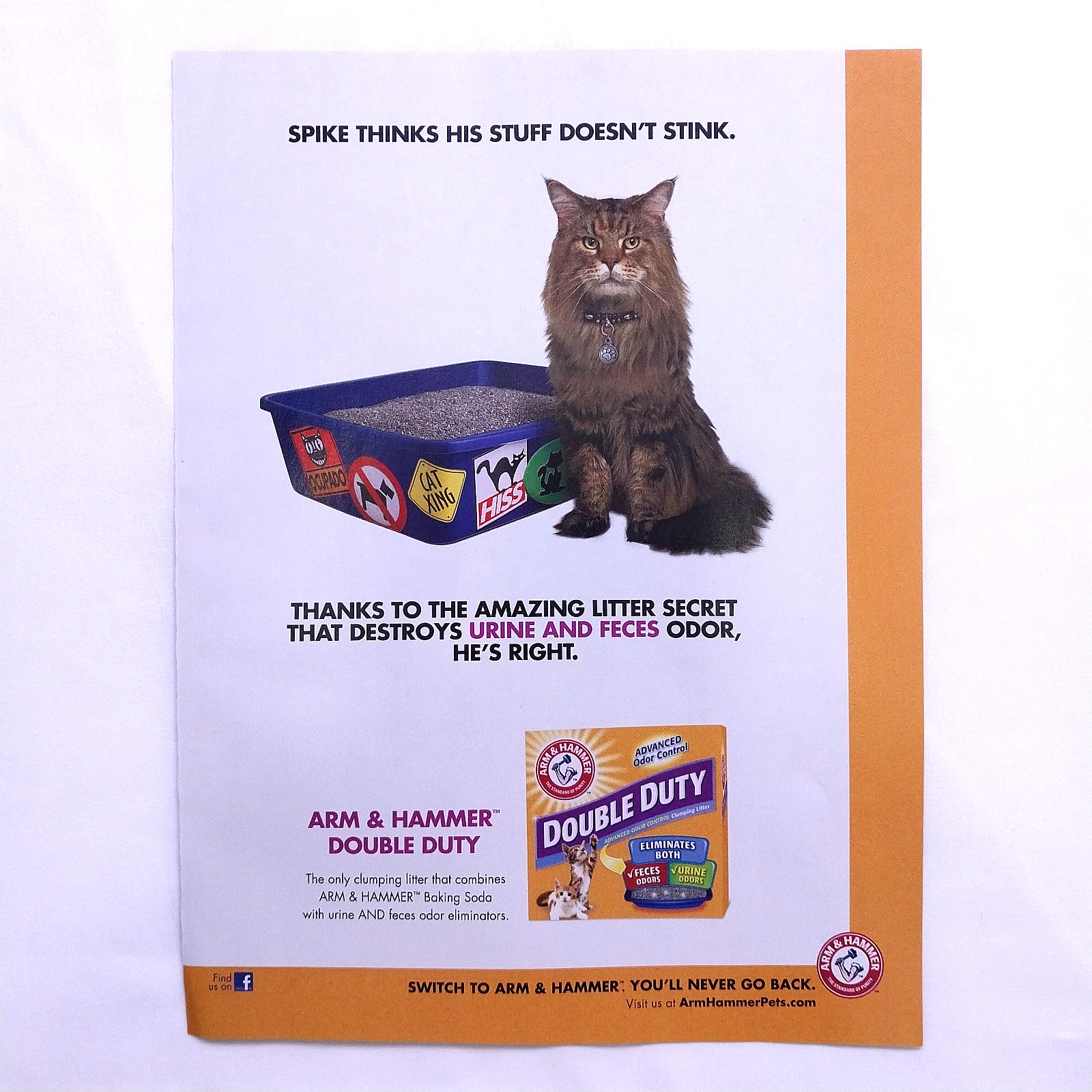 2013 Arm & Hammer Kitty Litter “Double Duty” Print Ad Magazine Advert Spike Cat