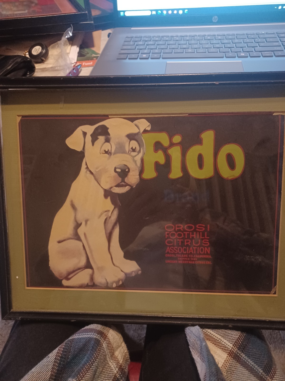 Vintage FIDO Dog Citrus Fruit Crate Label-Schmidt Litho Co. S.F. not framed