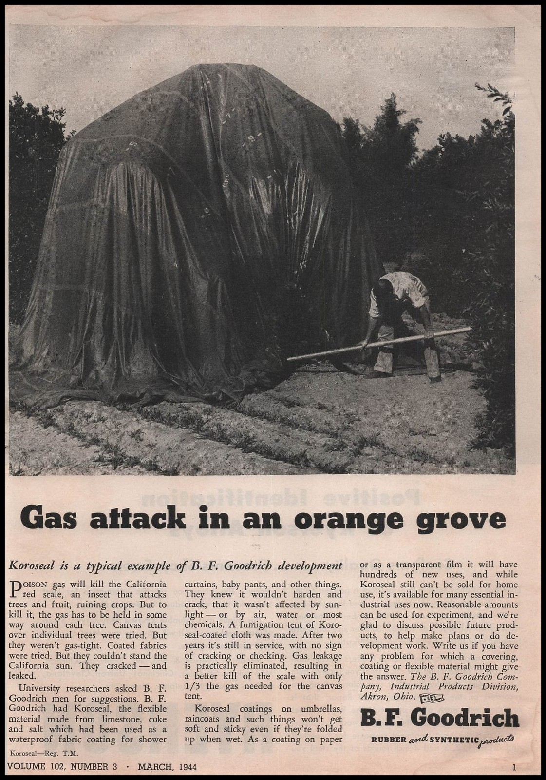 1944 B. F. Goodrich Akron Ohio Photo California Orange Grove Gas Attack Print Ad