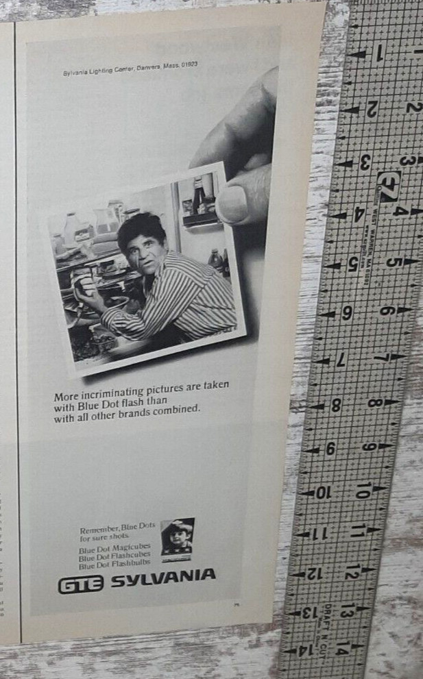 1972 GTE Sylvania Vintage Print Ad Flash Bulbs Photography Man Fridge Cake