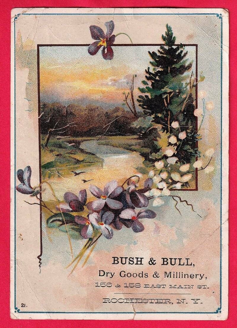 Vintage Advertising Bush and Bull Drygoods and Milleinery Rochester NY