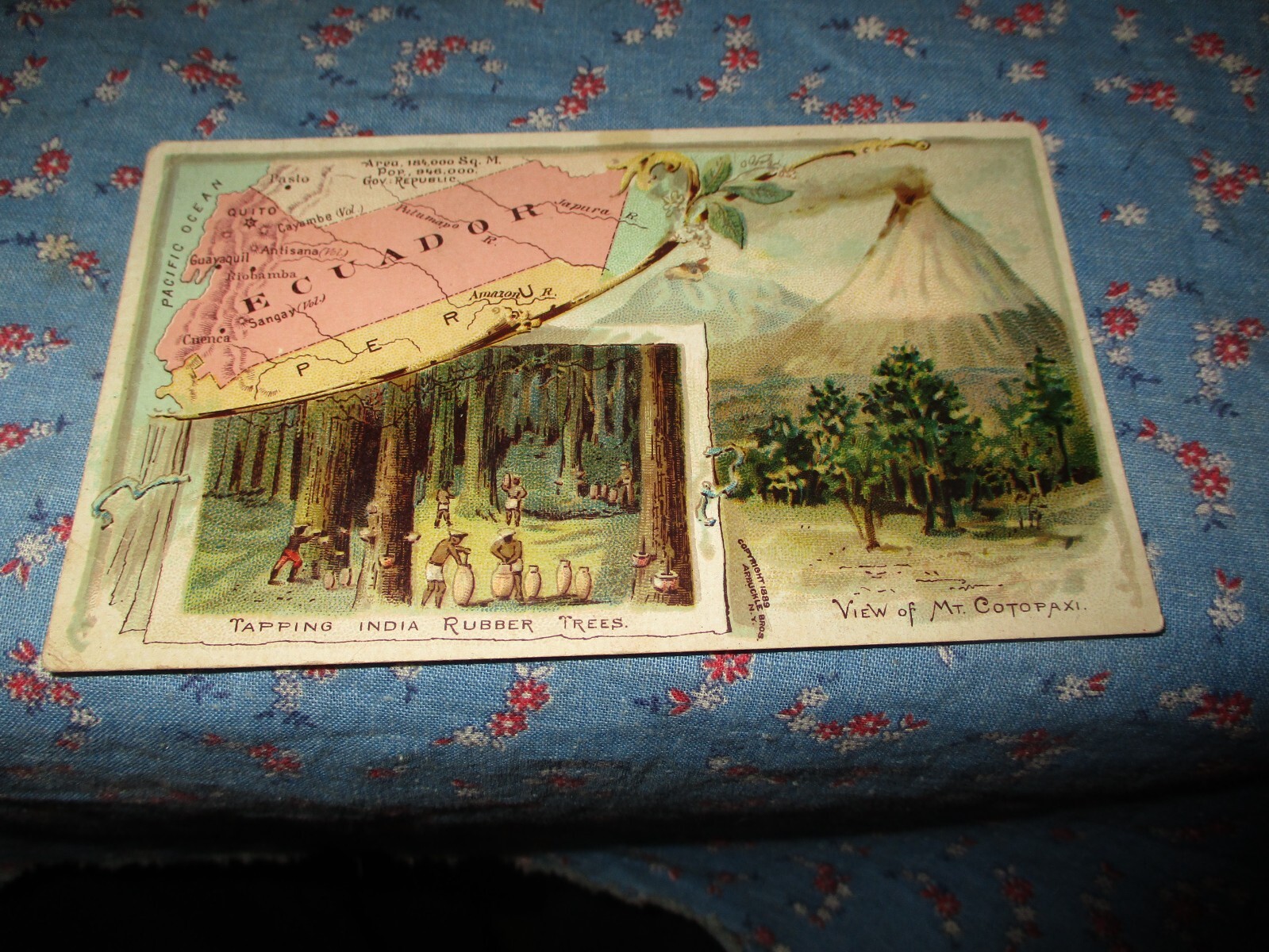Trade Card Ariosa Coffee Arbuckle Bros. New York City Ecuador India Rubber Tree