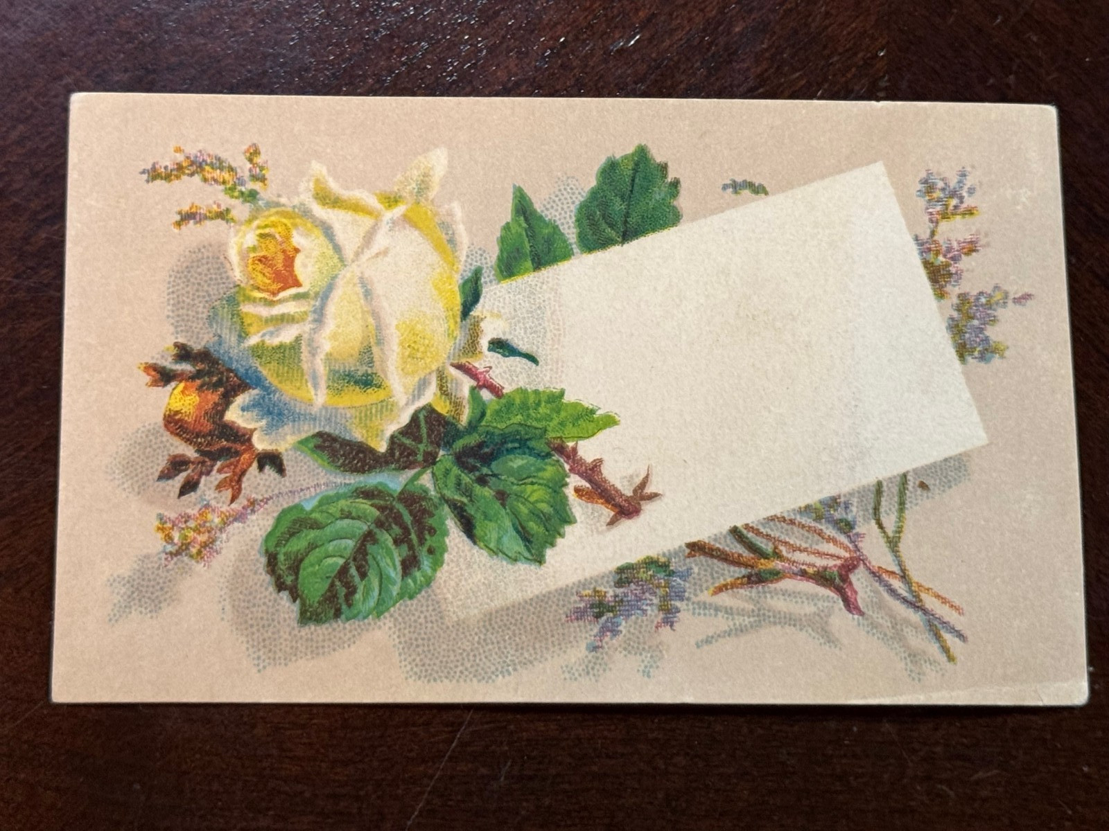 D-037 Victorian Trade Card Yellow Rose with branches – no advertising