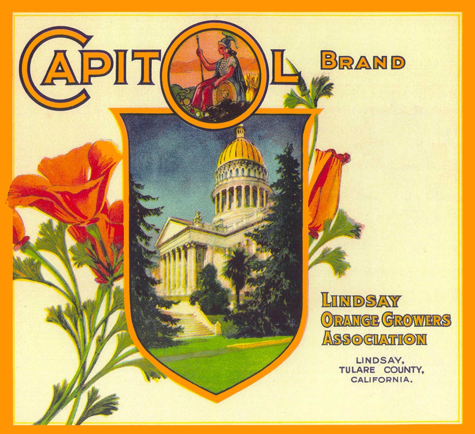 Lindsay Capitol California Poppy Flowers Orange Fruit Citrus Crate Label Print