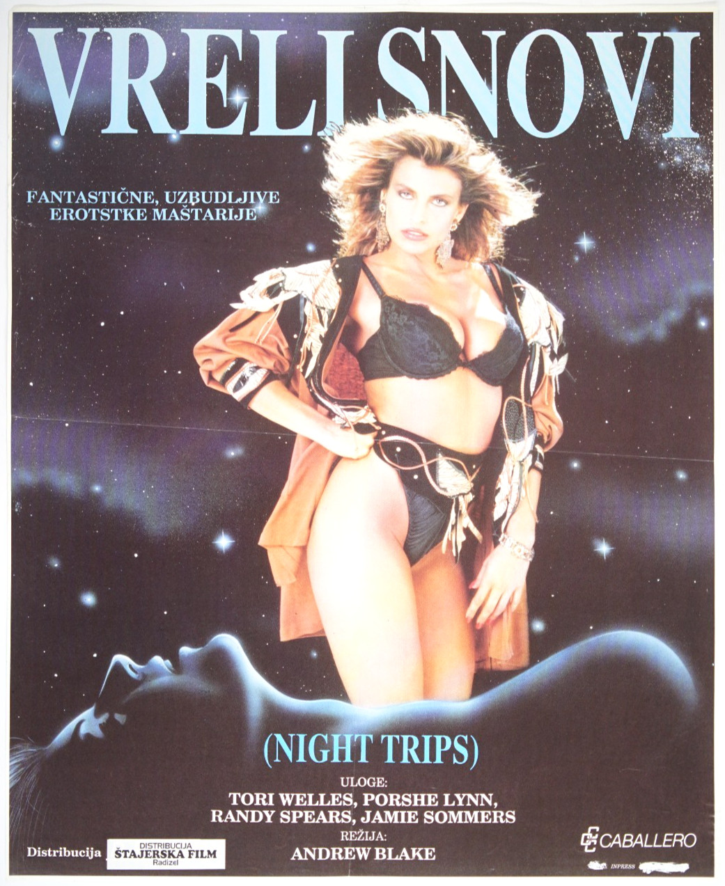 NIGHT TRIPS 📞19×24 Orig SL movie poster 1989-1990 SEXY TORI WELLES PORSCHE LYNN