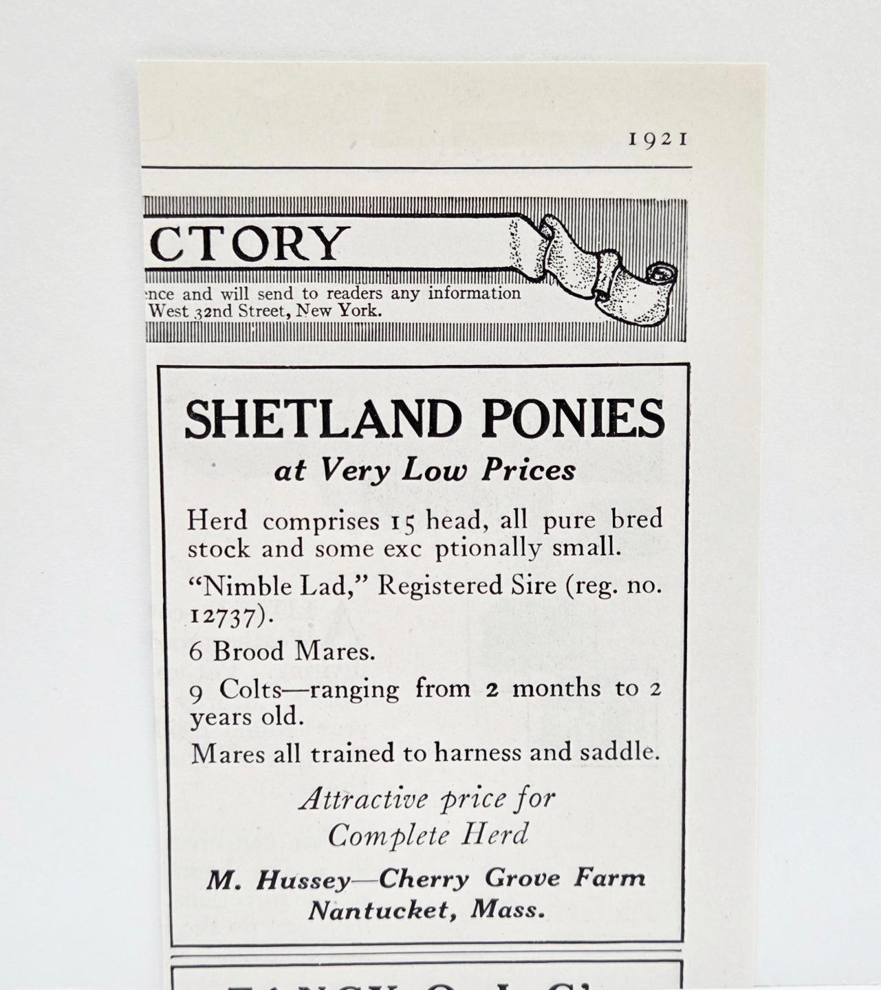 1921 Nantucket MA Cherry Grove Farm M. Hussey Shetland Ponies Print AD