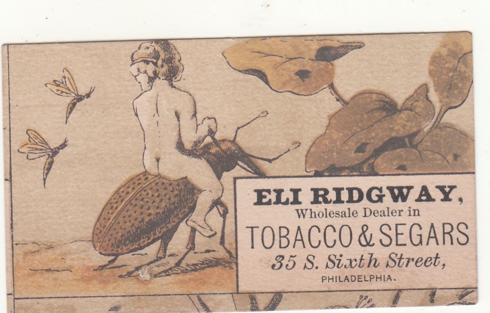 Eli Ridgway Tobacco & Segars Cigars Philadelphia Naked Child Bug VictCard c1880s