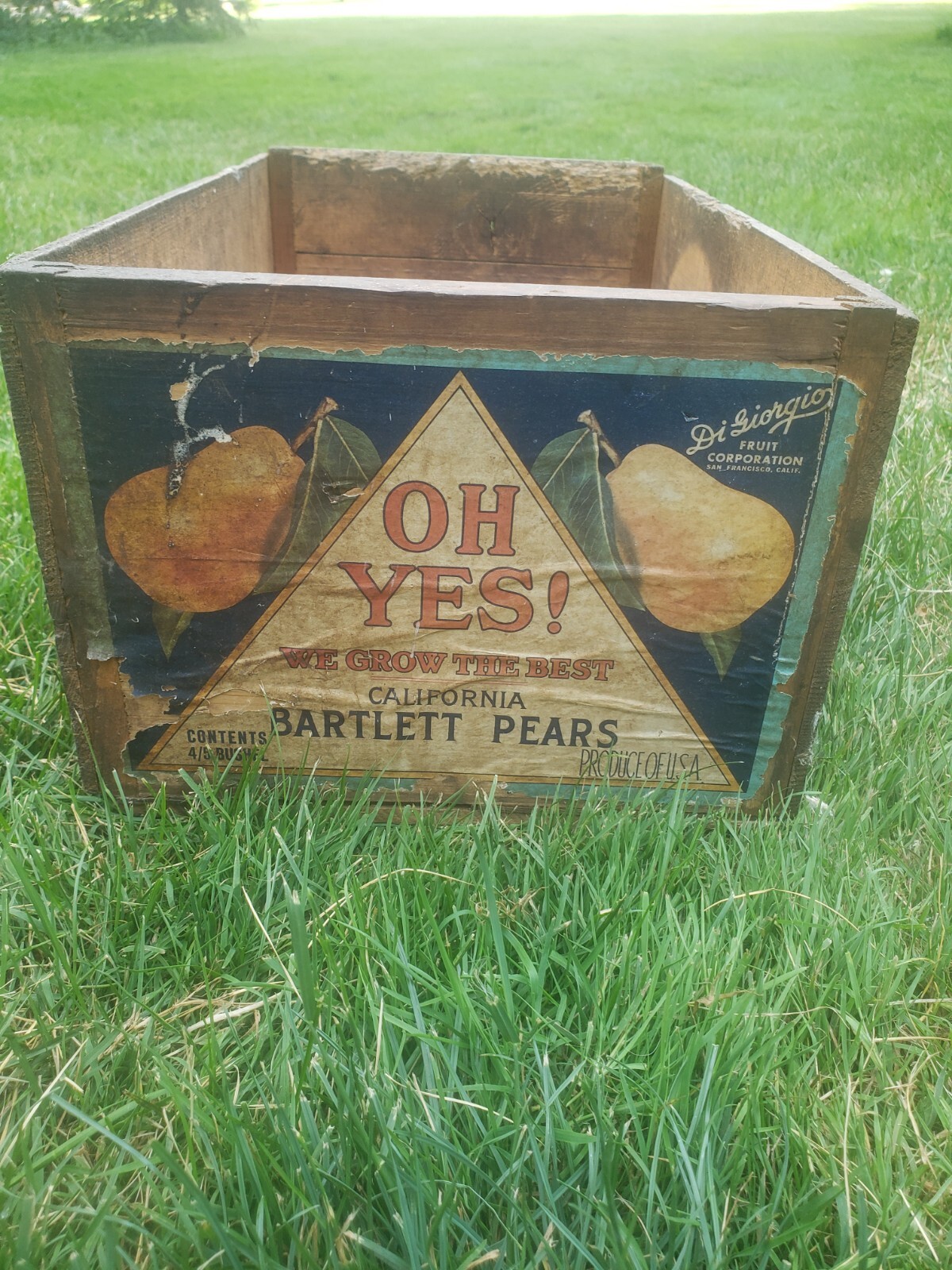 RARE VINTAGE OH YES! BRAND FRUIT CRATE BARTLETT PEARS GRAPHIC PEAR LOGO LABEL