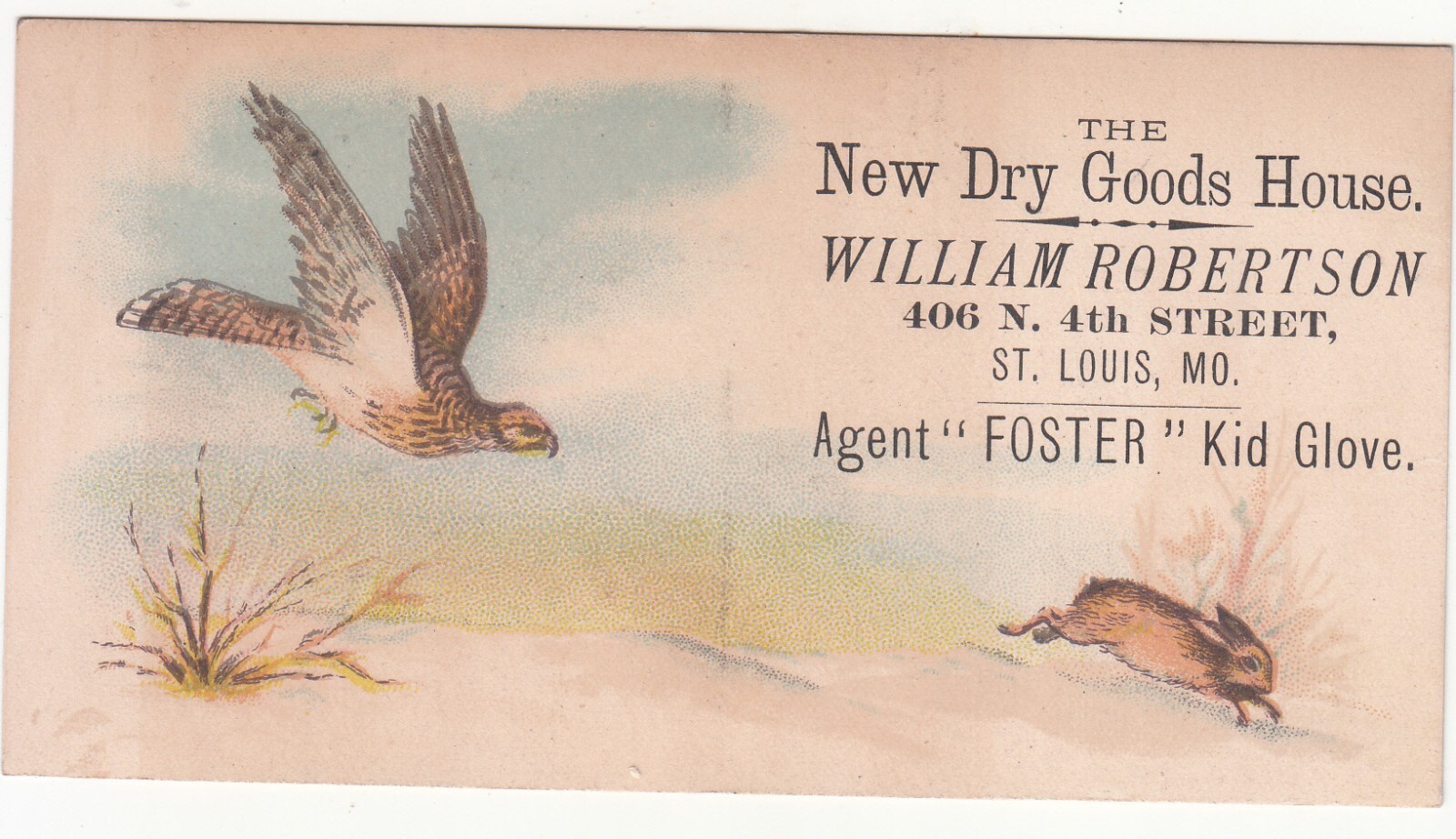 William Robertson Dry Goods House Agent Foster Kid Glove Hawk Rabbit Card c1880s