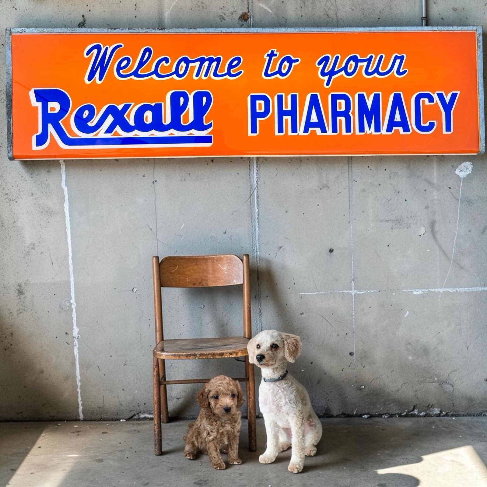 Vintage Rexall Pharmacy Lighted Sign RX Prescriptions Old Drug Store Advertising