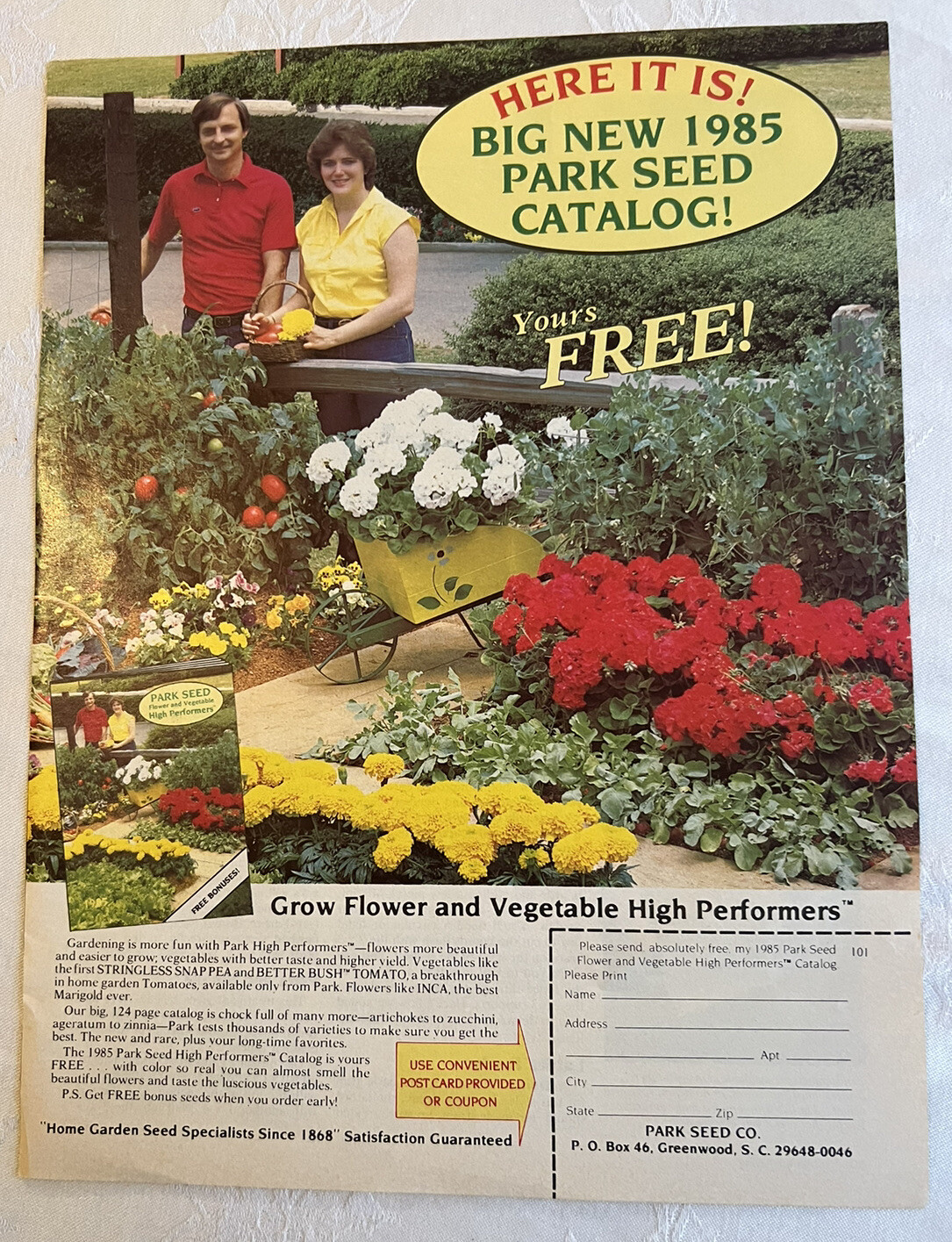 Home Garden 1985 Park Seed Catalog Vintage 1984 Print Ad