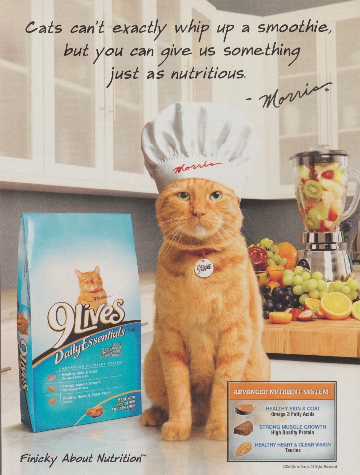 2009 – 9 Lives Cat Food – Morris As Chef – “Whip Up A Smoothie” – Print Ad Photo