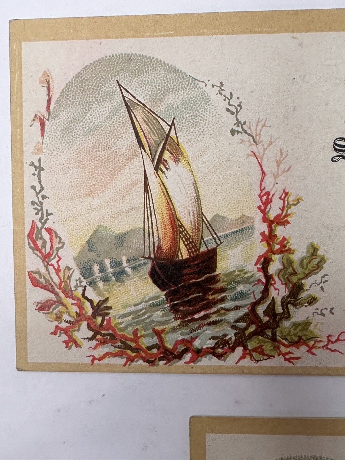 3 Victorian Jewelers Trade Cards SC Bartram 274 Chapel St New Haven CT SHIPS B85