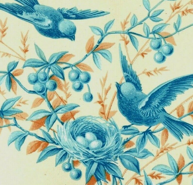 1880s Fleischmann & Co’s Compressed Yeast Wild Birds & Nests Lot Of 7 P205