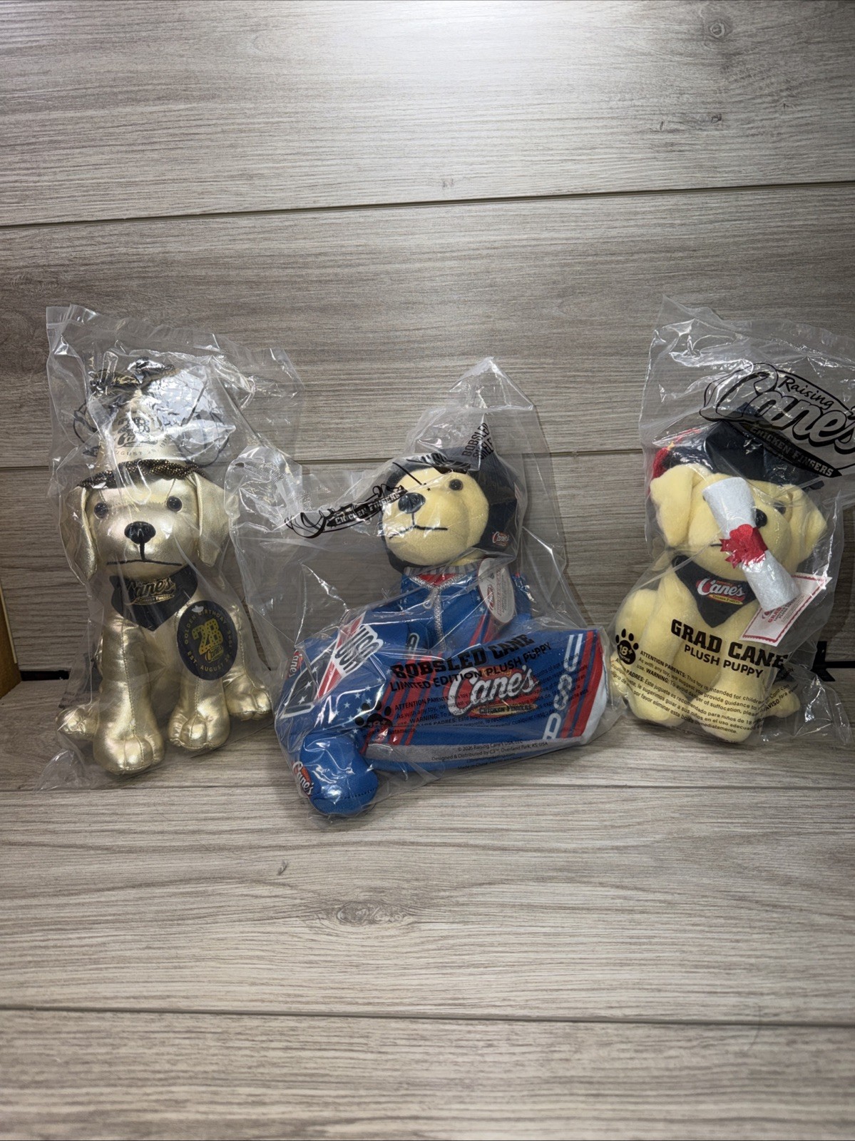 Raising Canes Limited Edition USA Olympic Plush Pup Removable Bobsled Collectors