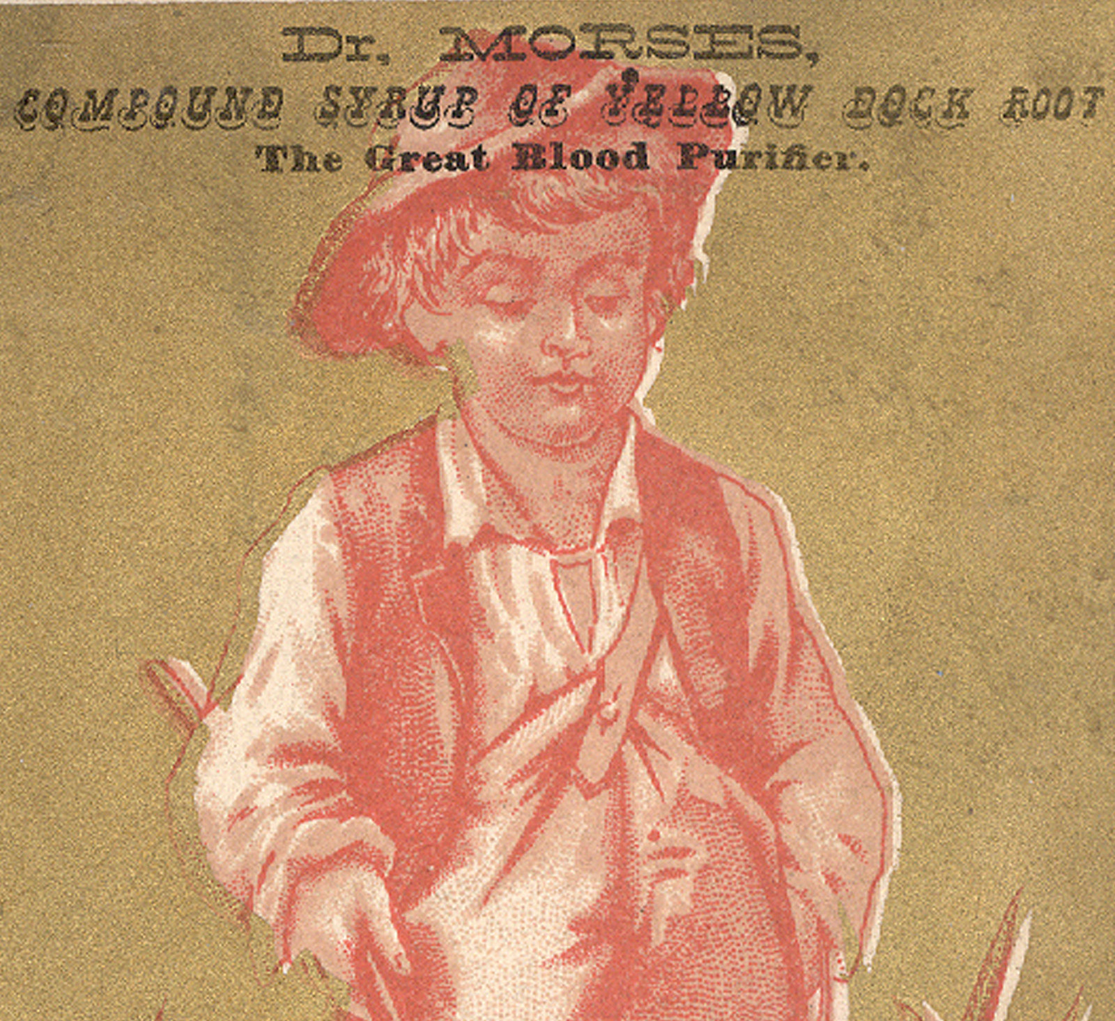 DR MORSES TRADE CARD, COMPOUND SYRUP OF YELLOW DOCK ROOT, A BLOOD CURE ALL K306