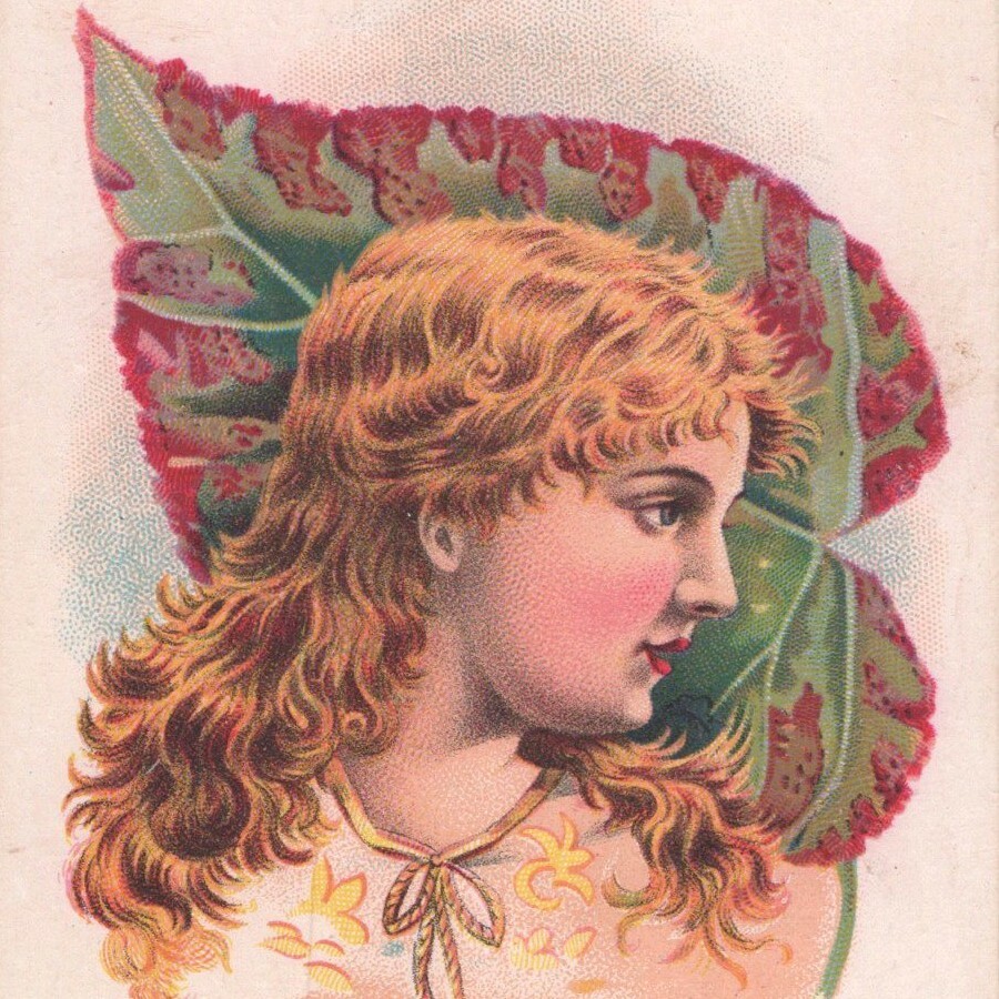 1880s Remsen Dry Goods Store J H Williams Millinery Victorian Trade Card #1