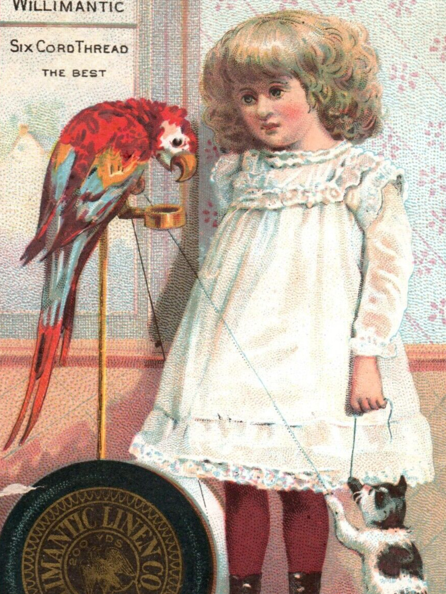 1883 Willimantic Six Cord Thread Girl Parrot Cute Cat P207