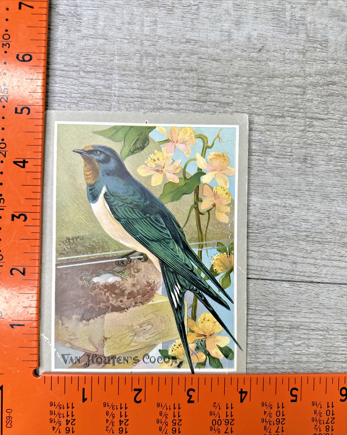 1890s Van Houten’s Cocoa “The Swallow” Trade Card Art Hot Coffee Advertising
