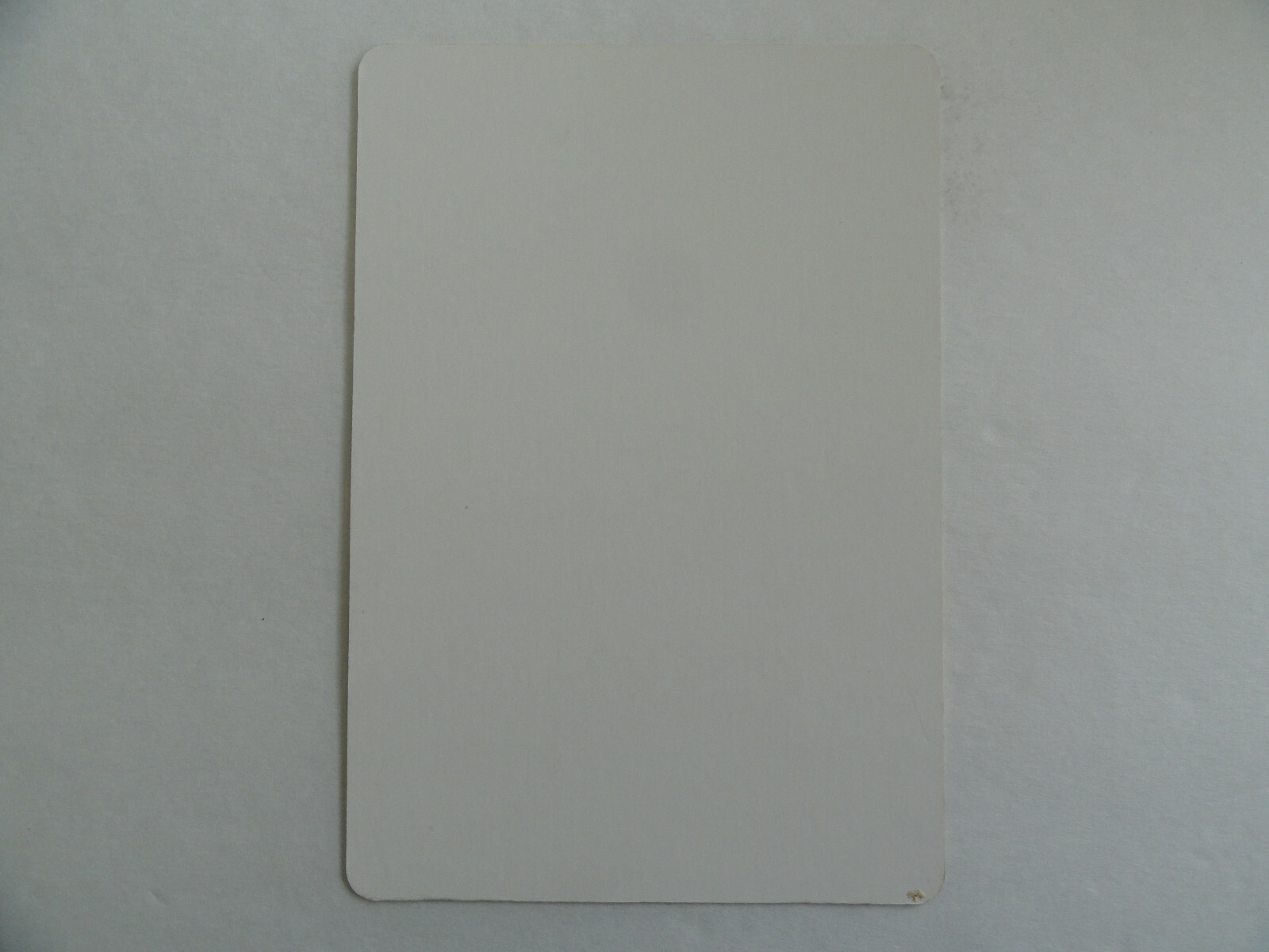 SCOOBY-DOO PIRATES AHOY! – BLOCKBUSTER VIDEO BACKER CARD 5″X8″ NO MOVIE
