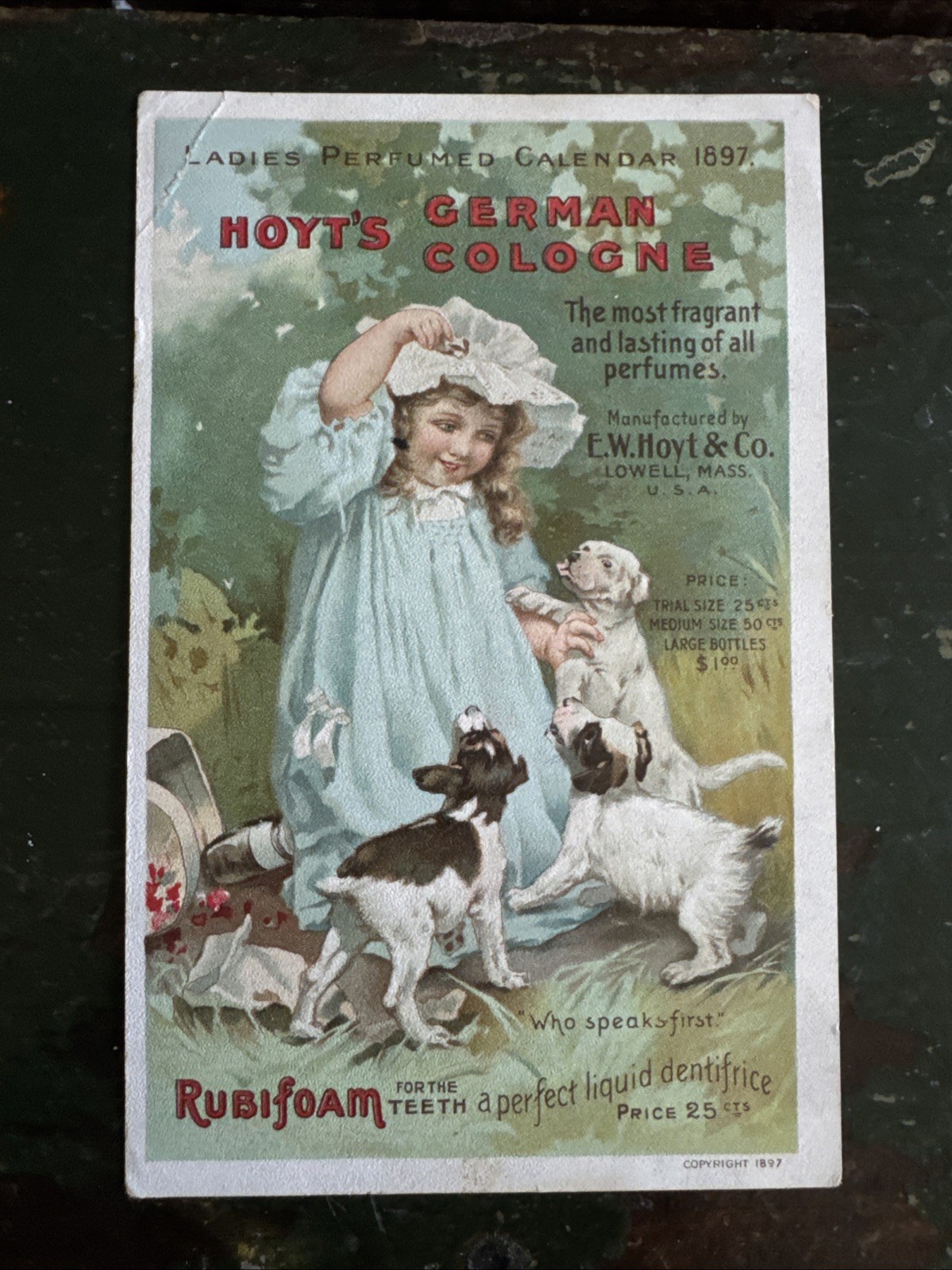1897 Calendar Hoyts German Cologne Girl Puppies Dogs Thomson Portland P10