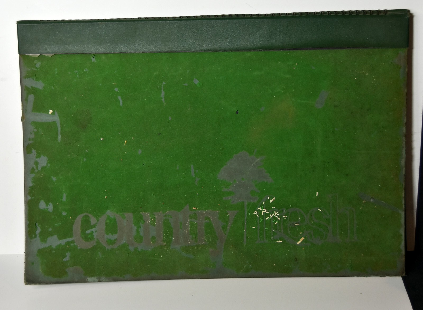 18″ Vintage 1973 Advertising Book Utica NY Country Fresh Promotion Donghia