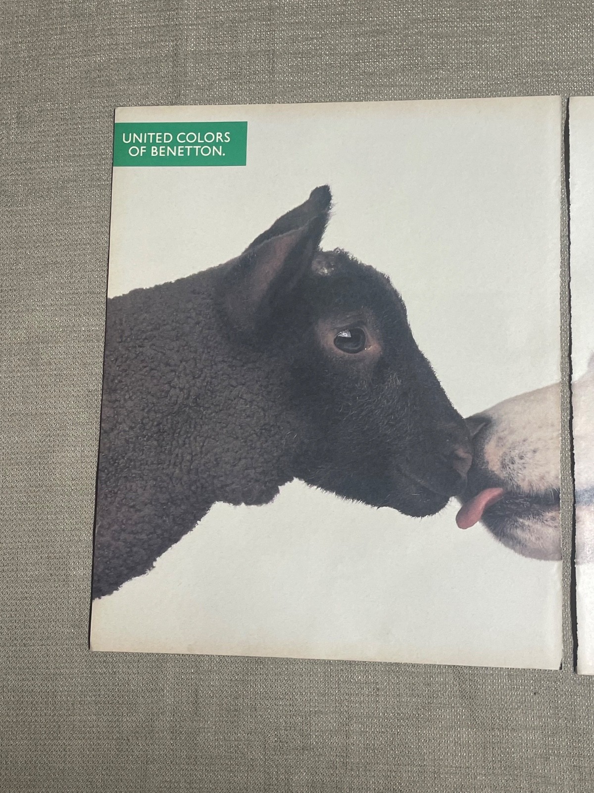 United Colors of Benetton Wolf and Sheep 2 page magazine print ad 1990s advertis