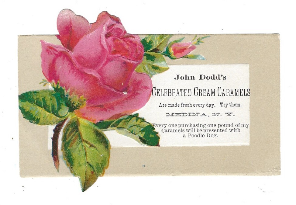 John Dodd’s Caramels Medina New York Victorian Trade Card Floral Rose Die-Cut