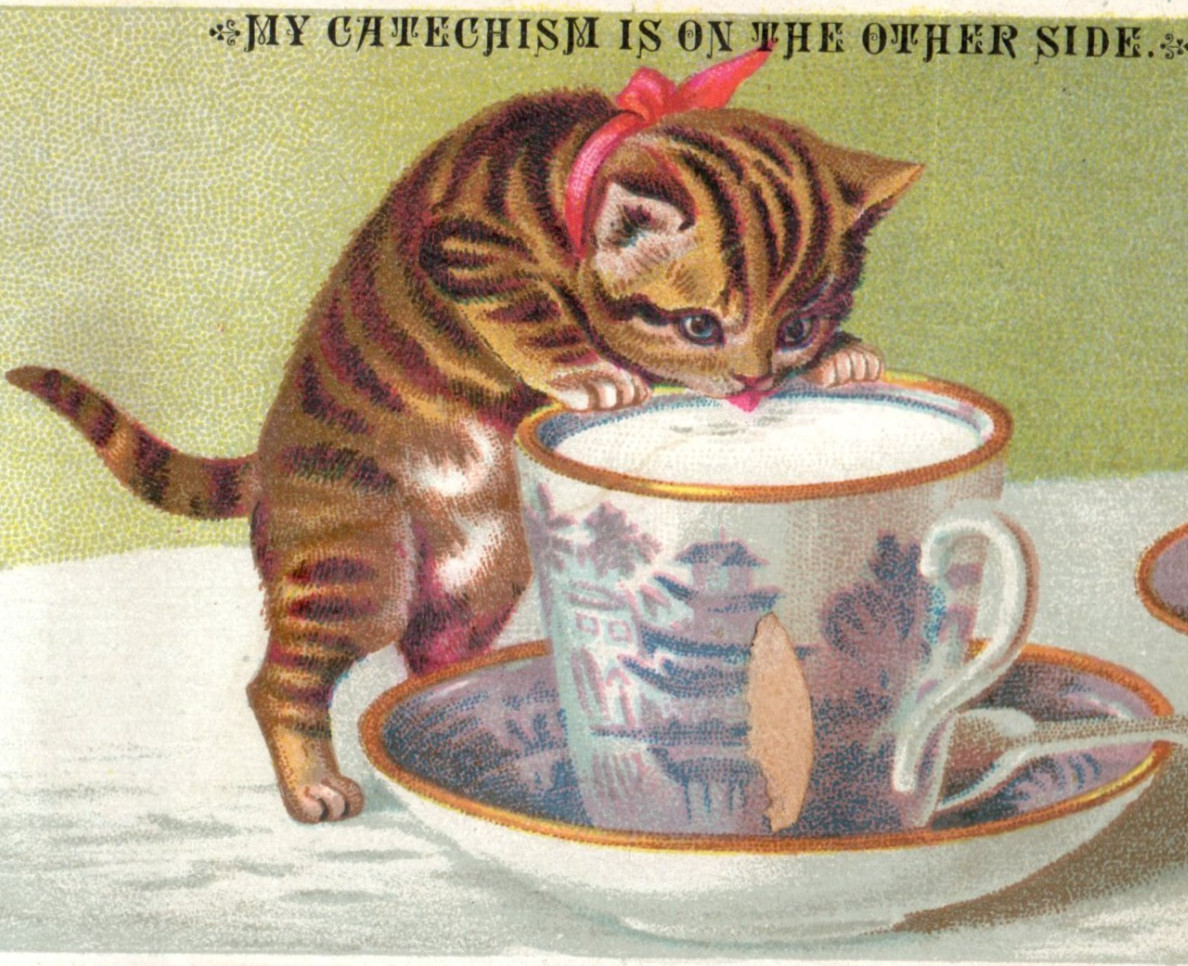 1880s J. V. Lisee & Co. Adorable Kitten Cat Cup & Saucer Pontiac MI F207