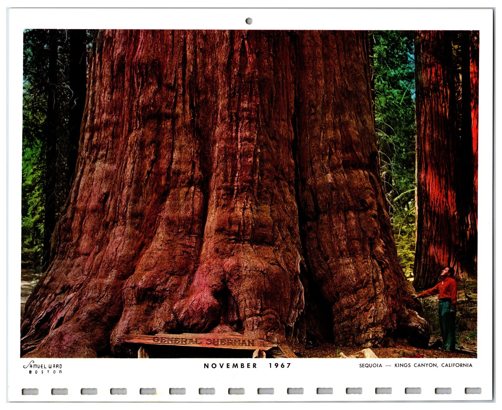 Vintage Calendar Page – View of Sequoia Kings Canyon California (Dated 1967)
