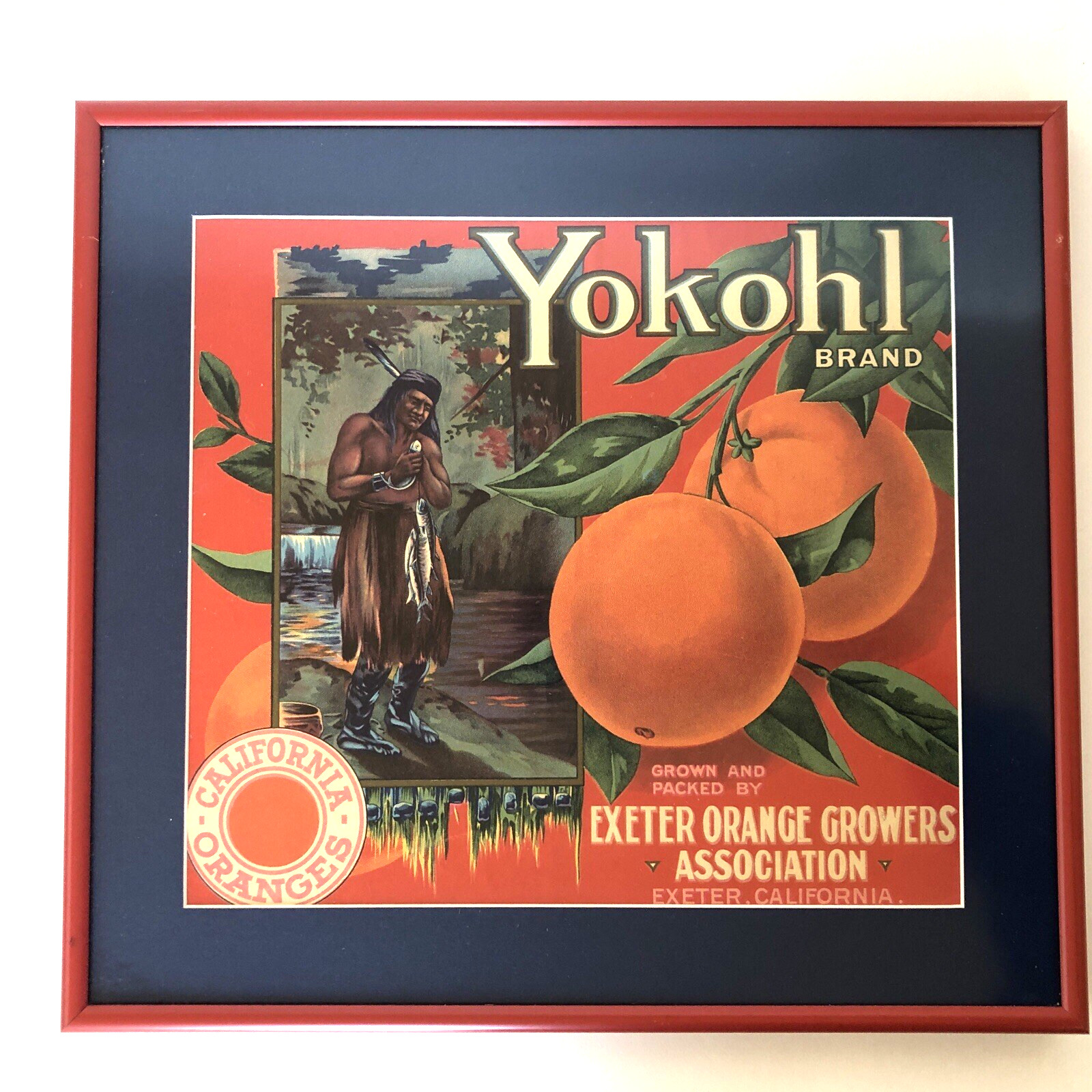 Vtg Original Yokohl Oranges Fruit Crate Label Framed Exeter Native American Fish