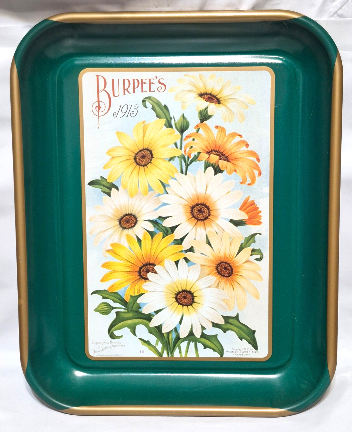 BURPEE 1913 Vintage TIN 13 x10 Floral Serving Tray