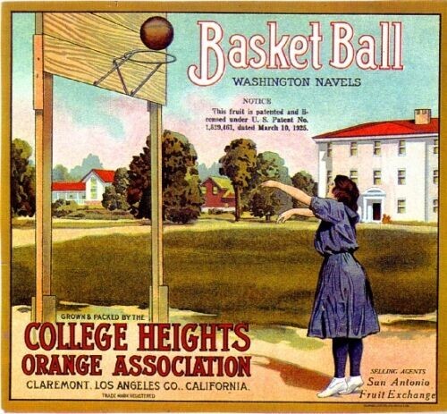 Basketball Brand Orange Claremont College Heights Citrus Fruit Crate Label Print