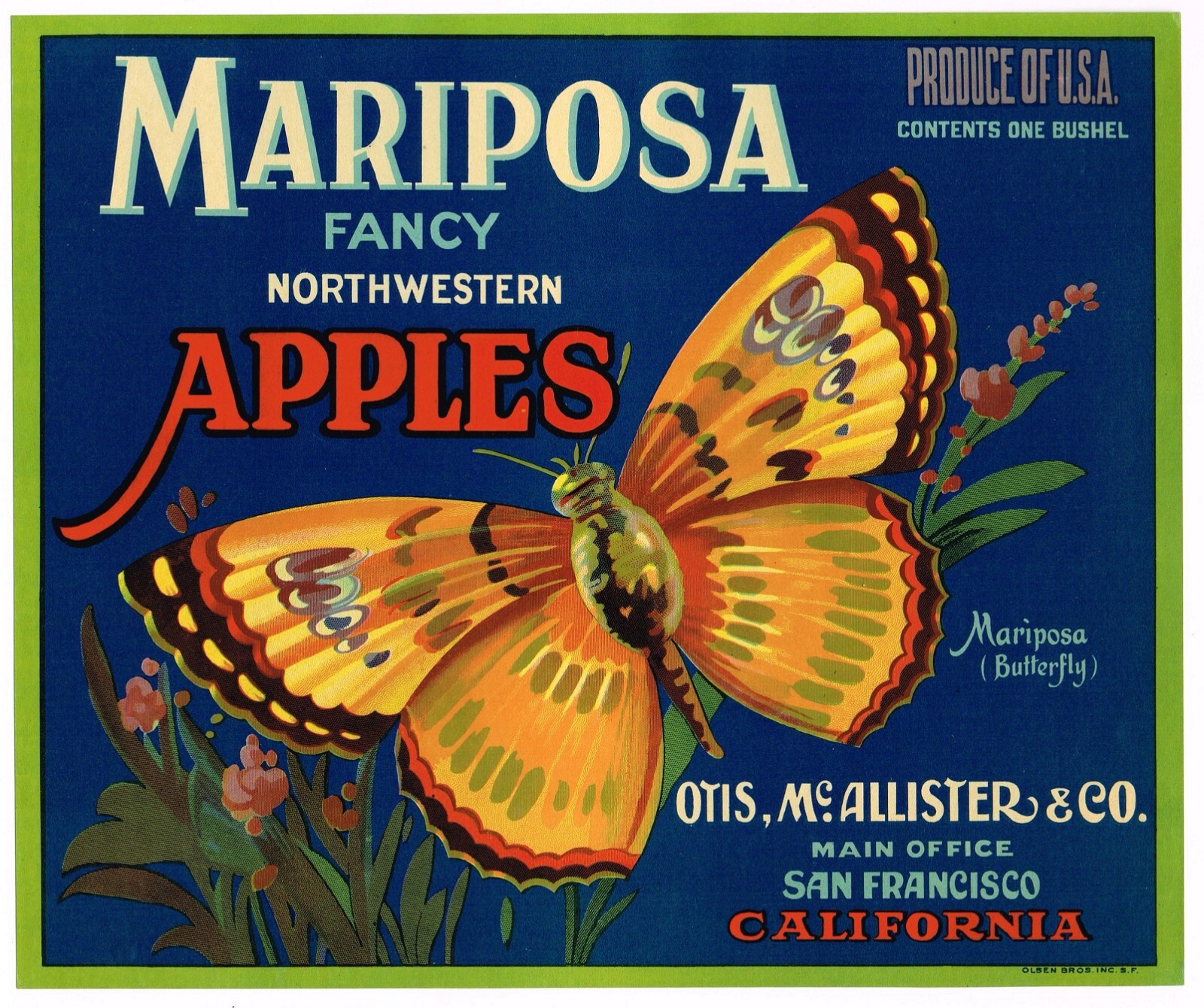 ORIGINAL 1930S CRATE LABEL VINTAGE APPLE SAN FRANCISCO MARIPOSA BUTTERFLY FANCY