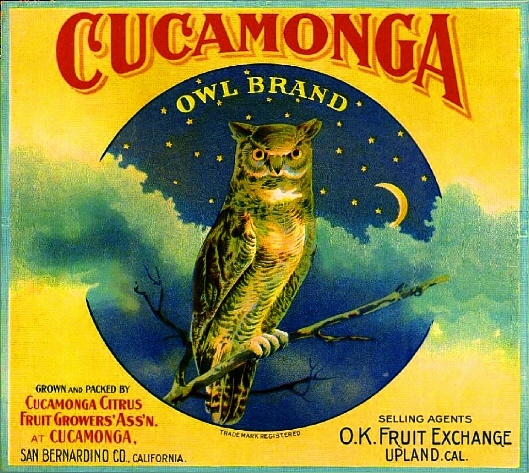 Cucamonga San Bernardino Upland Owl Orange Citrus Fruit Crate Label Art Print