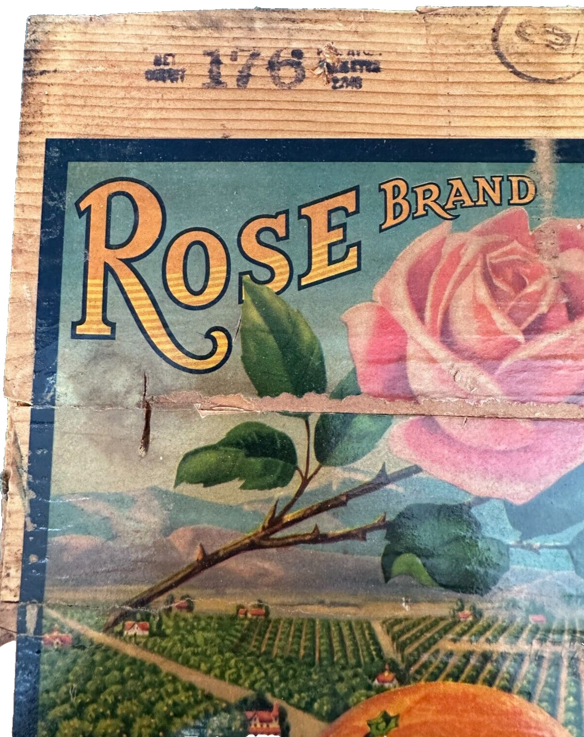 Vtg Mounted Sunkist Crate Label ROSE BRAND Redlands Orange Growers Assn CA 11×11