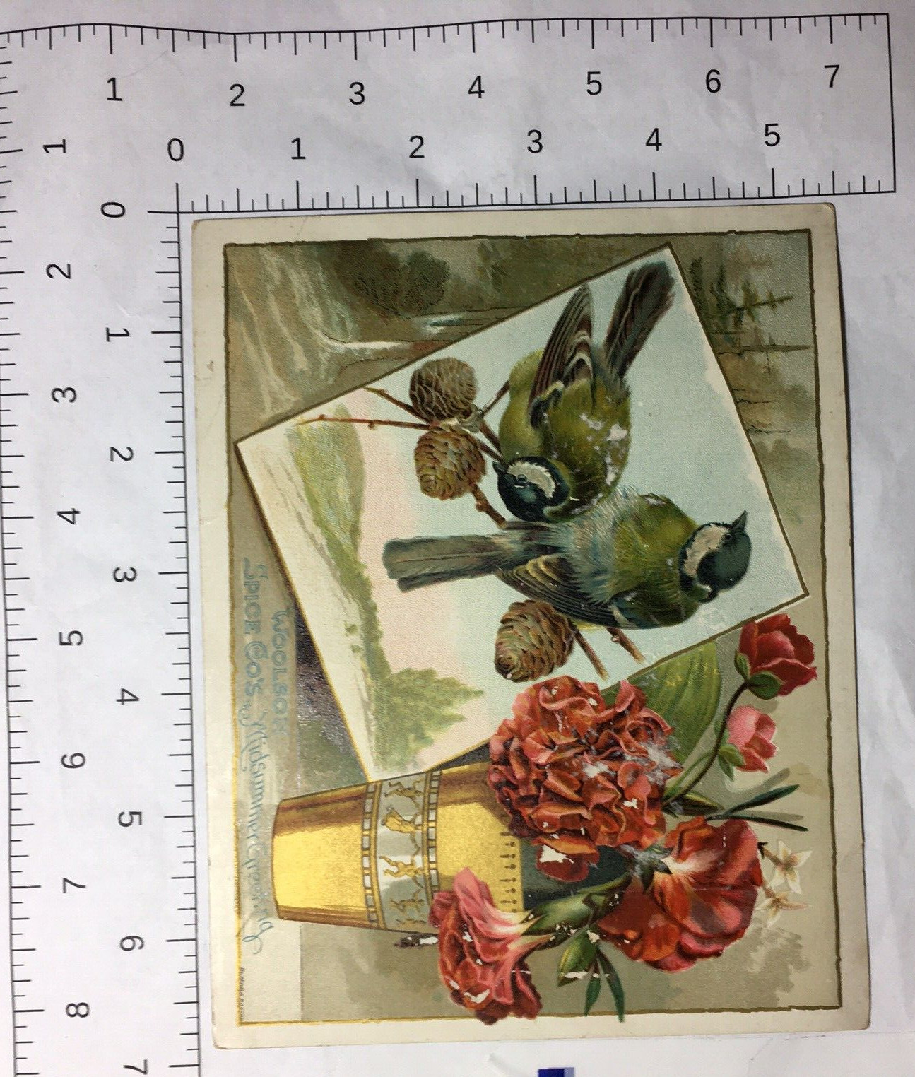 1880s Midsummer Greeting Lion Coffee Woolson Spice Co. Blue Jays Cones Rose’s