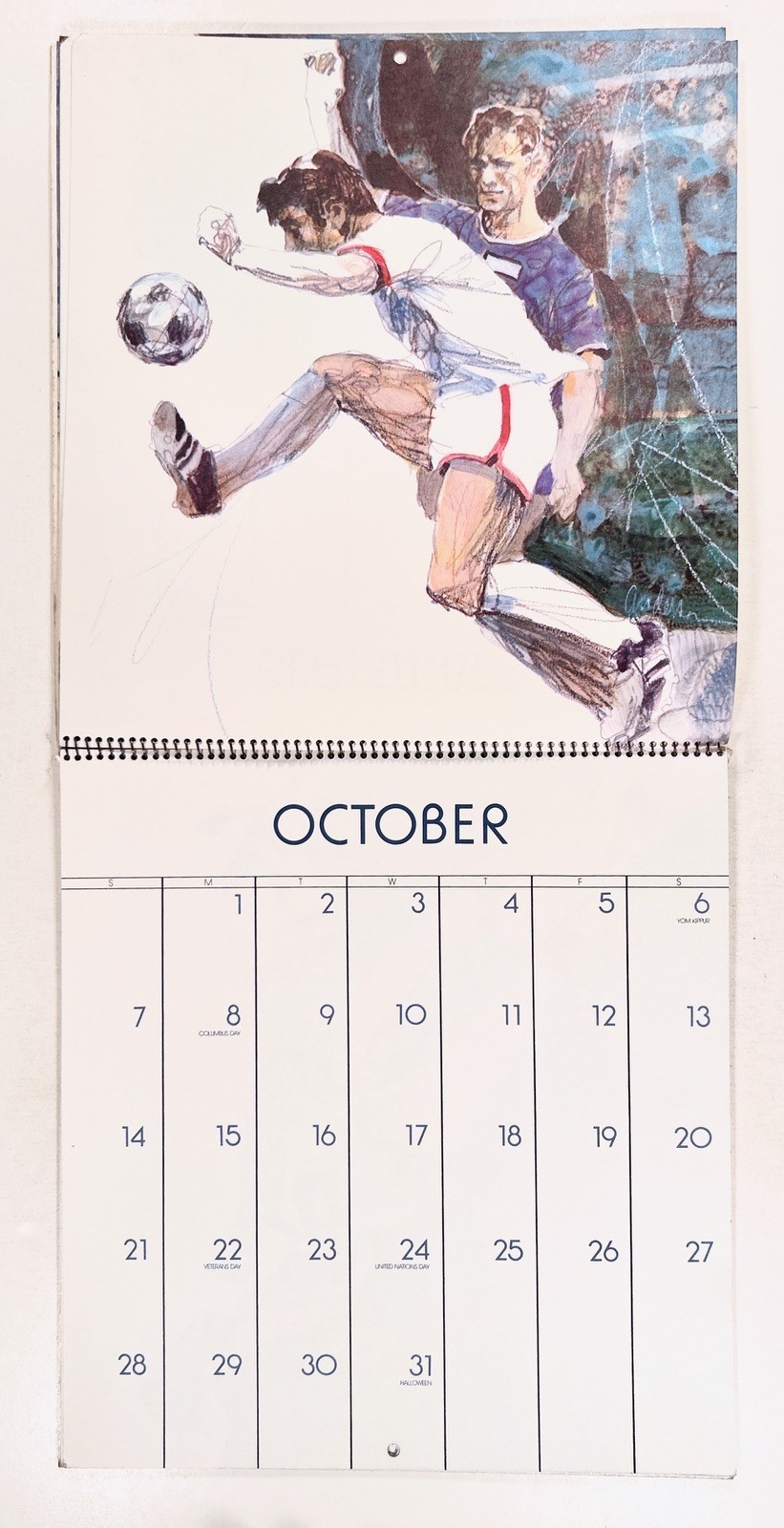 1973 Dennis Anderson art WONDERFUL WORLD OF SPORTS Hallmark Calendar UNUSED