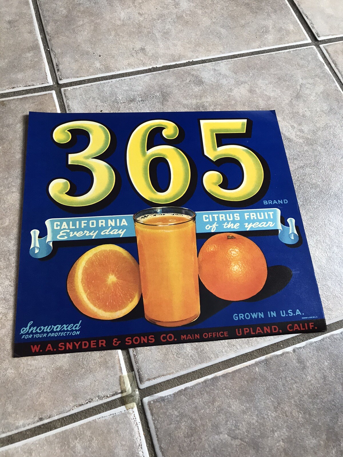 365 Brand Oranges Fruit Crate Label Original 1930 11 X 10 Inch Schmidt Union