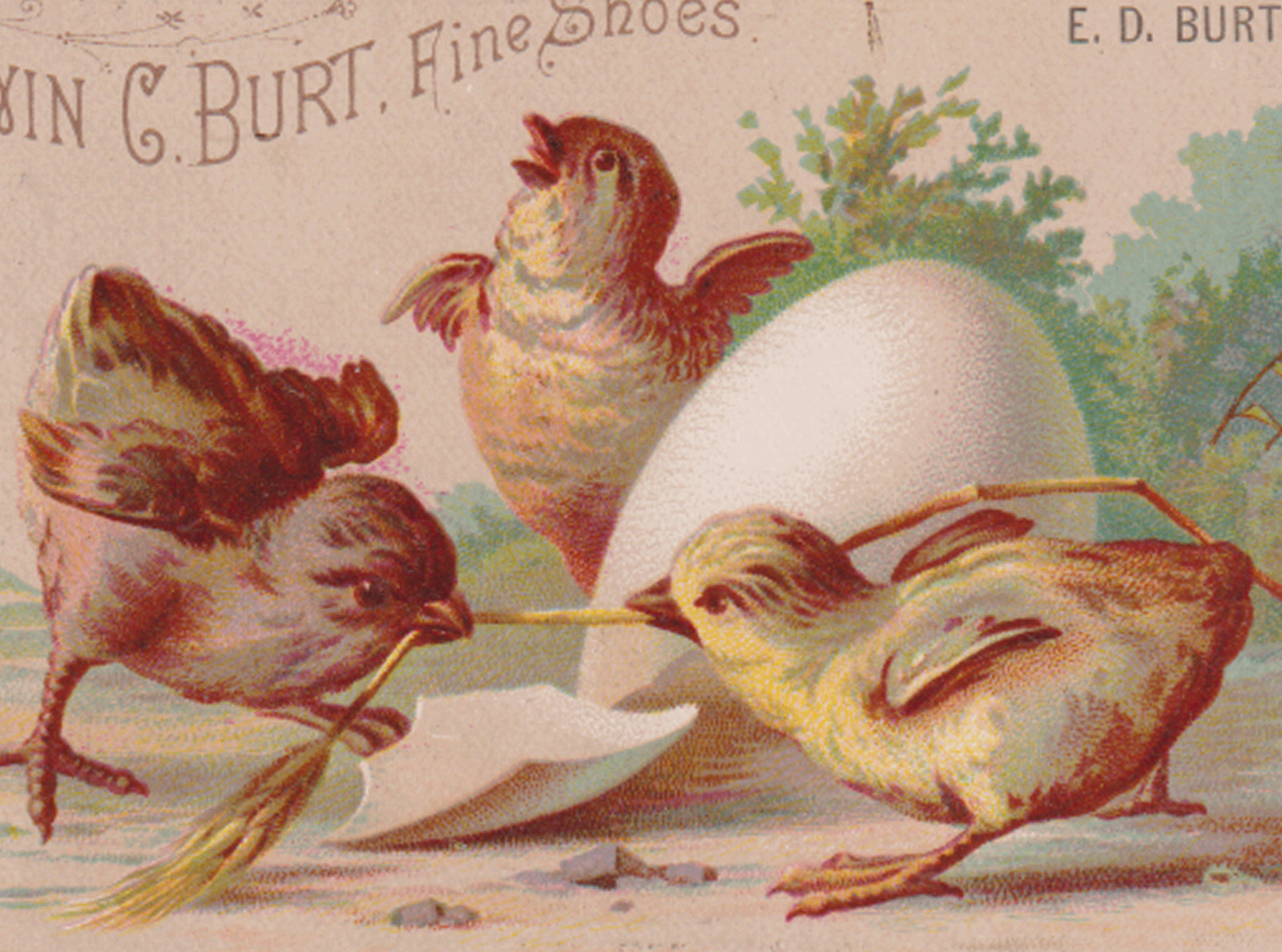 BROOKLYN NY, E D BURT & CO. SHOES, TRADE CARD at 287 FULTON &1881 CALENDAR F651